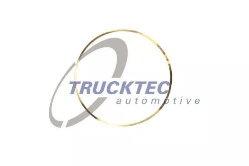 Gasket, cylinder liner