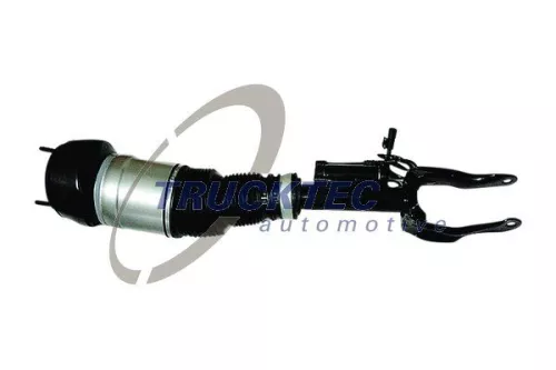 Air Suspension Strut