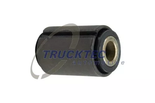 Bushing, leaf spring