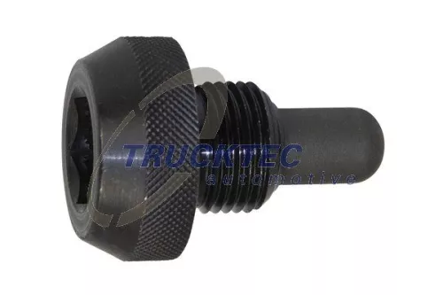 Screw Plug, oil sump