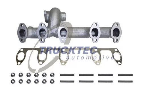 Manifold, exhaust system