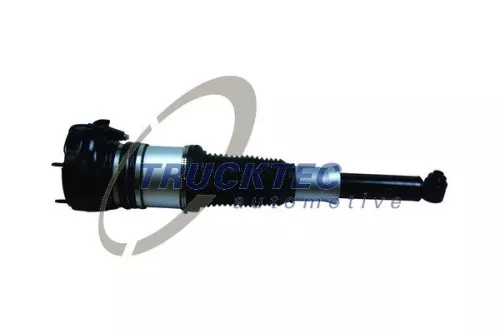 Air Suspension Strut