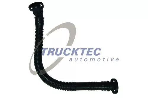 Hose, crankcase ventilation