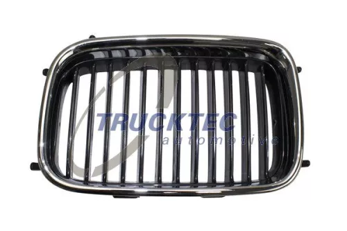 Radiator Grille