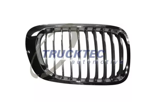 Radiator Grille