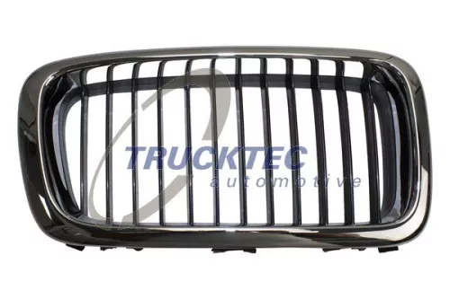 Radiator Grille