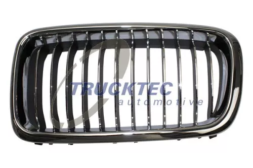 Radiator Grille