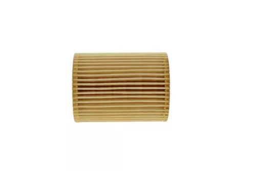 BOSCH Oil Filter (F026407008)