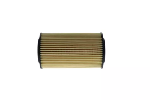 BOSCH Oil Filter (F026407112)