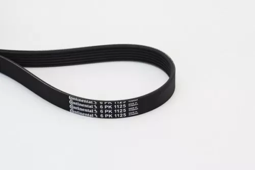 V-ribbed Belt
