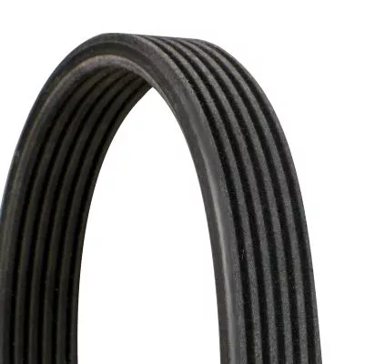 Poly V-Belt