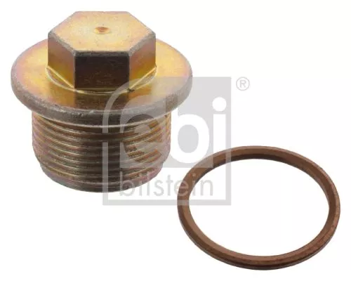 1x Screw Plug, oil sump