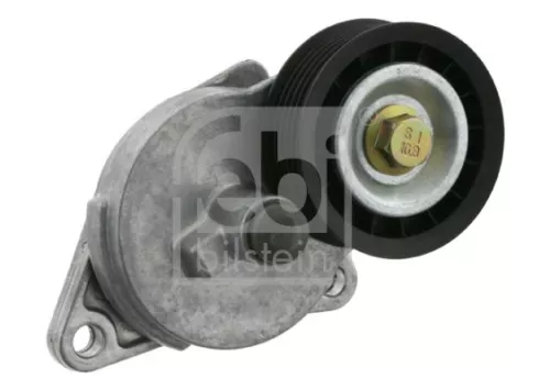 1x Belt Tensioner, V-ribbed belt