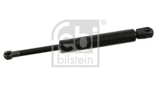1x Gas Spring, bonnet
