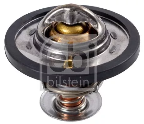 1x Thermostat, coolant
