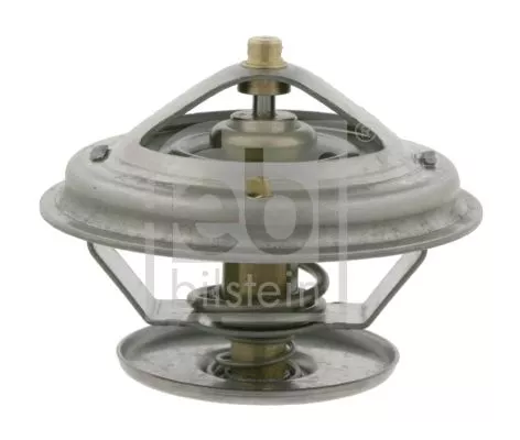 1x Thermostat, coolant