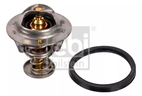 1x Thermostat, coolant