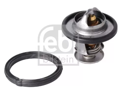 1x Thermostat, coolant