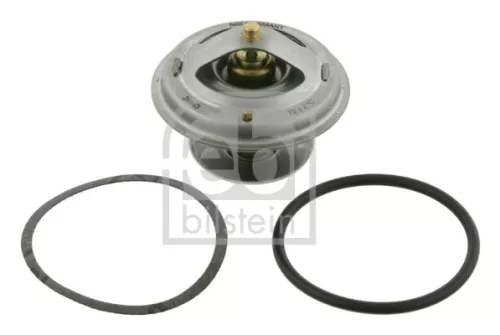 1x Thermostat, coolant