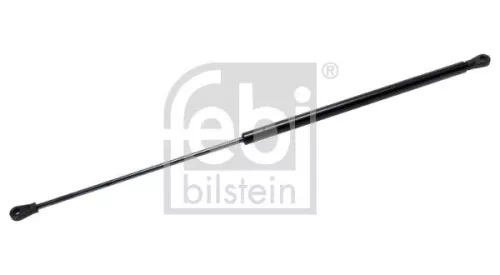 1x Gas Spring, bonnet