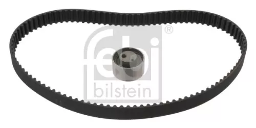 1x Timing Belt Kit