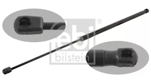 1x Gas Spring, bonnet