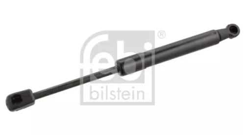 1x Gas Spring, bonnet
