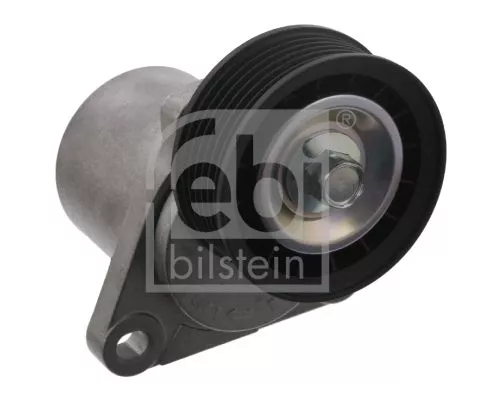 1x Belt Tensioner, V-ribbed belt