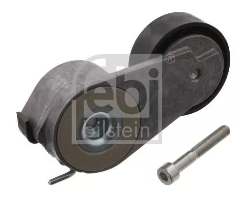 1x Belt Tensioner, V-ribbed belt