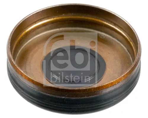 FEBI BILSTEIN 20x Lock Cover, timing chain tensioner (mounting hole) (38327)