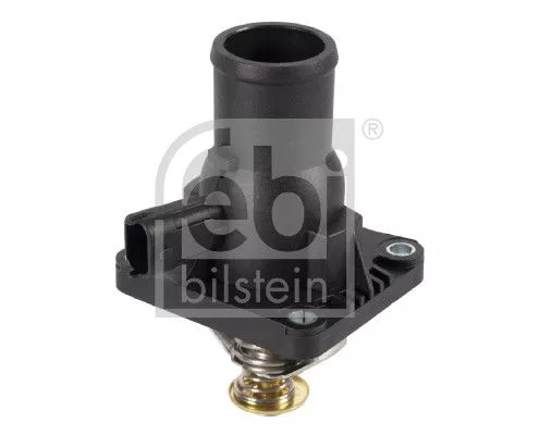 1x Thermostat, coolant