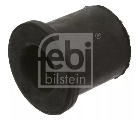 1x Bushing, leaf spring