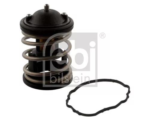1x Thermostat, coolant