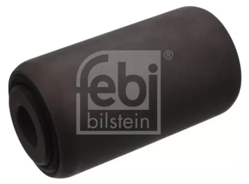 1x Bushing, leaf spring