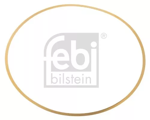 1x Gasket, cylinder liner