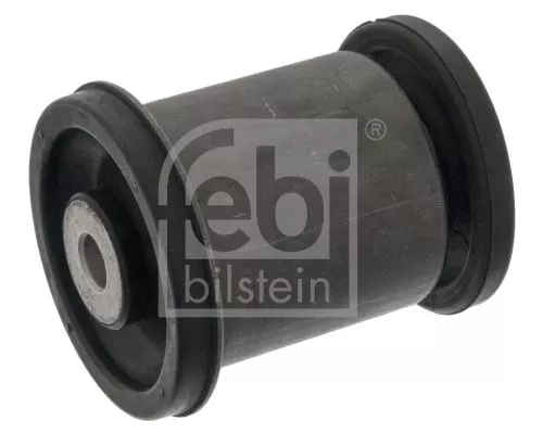 1x Bushing, leaf spring