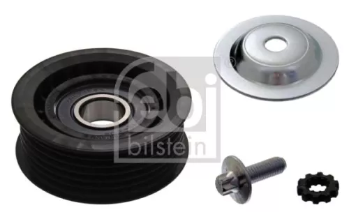 1x Deflection/Guide Pulley, V-ribbed belt