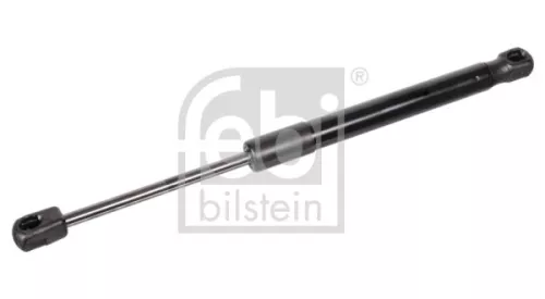 1x Gas Spring, bonnet