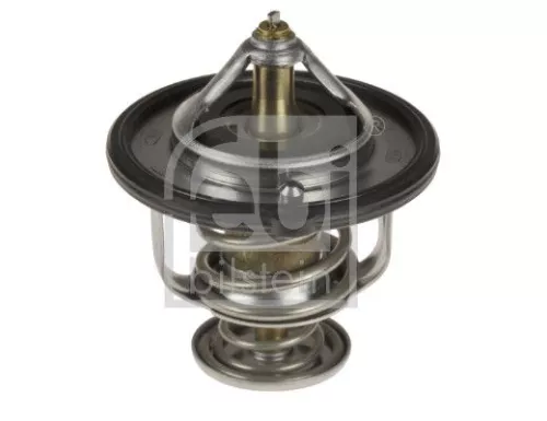 1x Thermostat, coolant