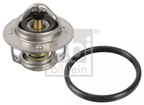 1x Thermostat, coolant