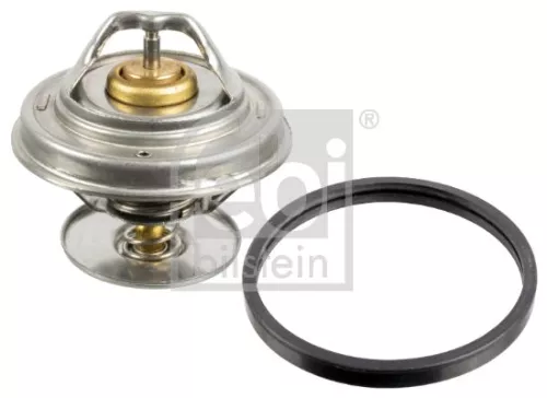 1x Thermostat, coolant