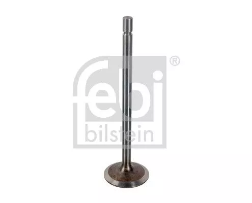 1x Intake Valve