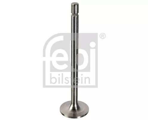 1x Intake Valve