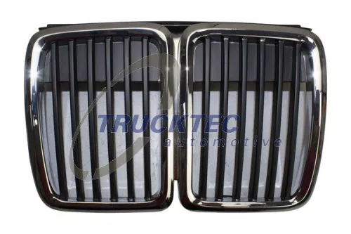 Radiator Grille