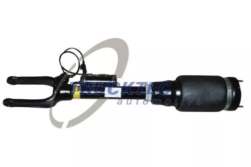 Air Suspension Strut