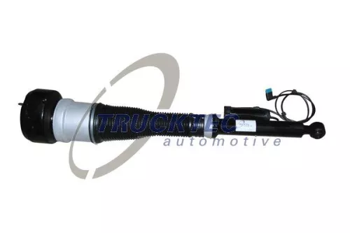 Air Suspension Strut