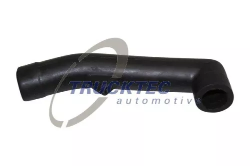 Hose, cylinder head cover ventilation