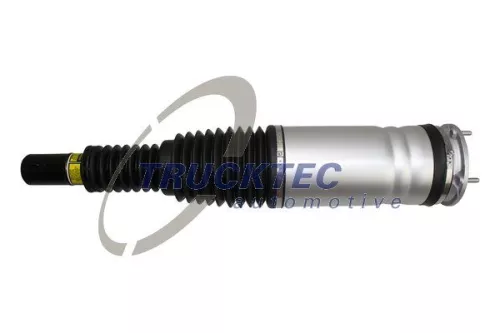 Air Suspension Strut