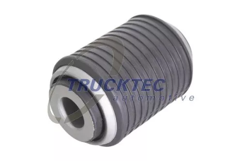 Bushing, leaf spring