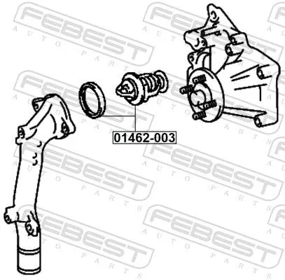 FEBEST Thermostat, coolant (01462-003)